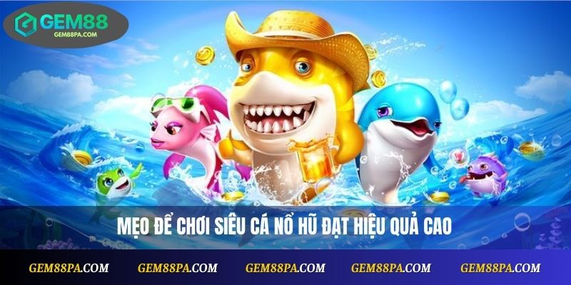 Siêu Cá Nổ Hũ Là Gì? Game Nổ Hũ Hot Cho Người Mới 3 Mẹo để chơi Siêu Cá Nổ Hũ đạt hiệu quả cao