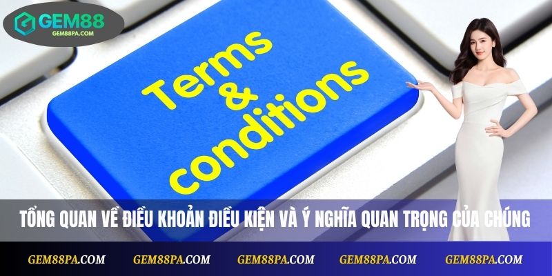 Tổng quan về điều khoản, điều kiện và ý nghĩa quan trọng của chúng